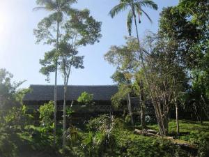une maison au milieu d'une forêt avec des palmiers dans l'établissement Tahuayo Lodge Expeditions, à Iquitos