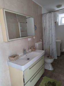 Un baño con un lavabo blanco y un inodoro. en Apartman Noemi, en Jadranovo