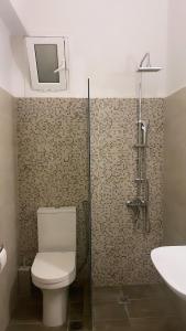 a bathroom with a toilet and a shower and a sink at Galazia Nera Apartments in Agios Andreas