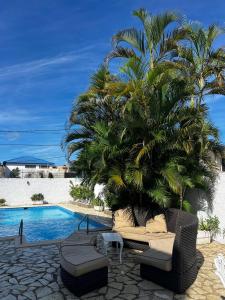 un palmier installé à côté d'une piscine dans l'établissement Sosua Sweet Vacations, à Sosúa