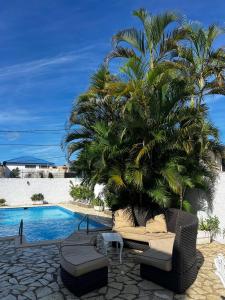 una palmera sentada junto a una piscina en Sosua Sweet Vacations, en Sosúa
