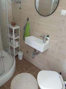La salle de bains est pourvue d'un lavabo, de toilettes et d'un miroir. dans l'établissement Marija- ground floor studio next to the beach, à Betina
