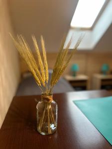 Gallery image of Mazurek Pokoje do wynajęcia in Zełwągi