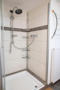 a shower with a glass door in a bathroom at Gästewohnung am Sonnenstein in Brehme