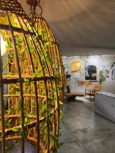 a room with a bird cage with plants in it at Pousada Cerrado in Goiânia