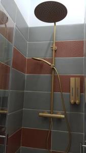 eine Dusche im Bad mit Duschkopf in der Unterkunft Petit studio Magellan in Nantes + 2 Fotos