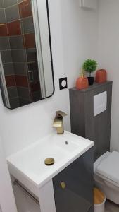 ein Badezimmer mit Waschbecken, Spiegel und Toilette in der Unterkunft Petit studio Magellan in Nantes