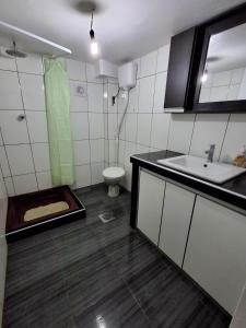 La salle de bains est pourvue d'un lavabo et de toilettes. dans l'établissement Backpacker Oruro, à Oruro