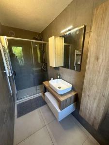 La salle de bains est pourvue d'un lavabo et d'une douche. dans l'établissement Casa Lilia, à Lugano