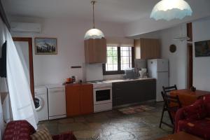 a kitchen with a stove and a refrigerator at Tea's sea apartments in Siviri +21 photos
