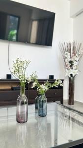 three vases with flowers in them sitting on a table at Moderno y acogedor apartamento in Santo Domingo