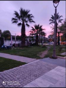 Κήπος έξω από το Sunrise Suite