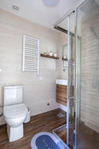 uma casa de banho com um WC e uma cabina de duche em vidro. em Kosmajski Izvor em Sopot