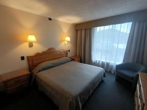 um quarto de hotel com uma cama e uma cadeira e uma janela em Apart Enjoy Pucón em Pucón