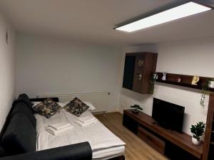 a living room with a couch and a television at Comfortable 2 Bedroom Apartment Stuttgart &Ulm Area in Kuchen