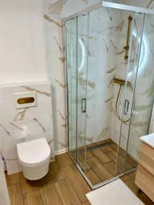 a bathroom with a shower and a toilet at Alpine Echo Apartments in Bovec +23 photos