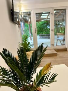 a palm tree in a living room with a table at Alpine Echo Apartments in Bovec