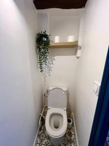une petite salle de bains avec des toilettes et une plante dans l'établissement Appartement cosy hypercentre, à Saumur