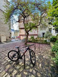 uma bicicleta estacionada ao lado de uma árvore numa rua em Appartement cosy hypercentre Place St Pierre em Saumur