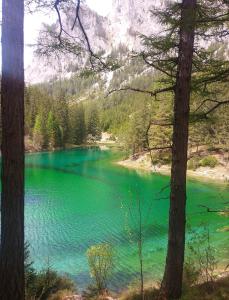 a view of a green lake in the mountains at Haus Bergblick in Oberort