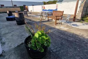 Fotografija v galeriji nastanitve Sunriseview Cottages v mestu Wicklow