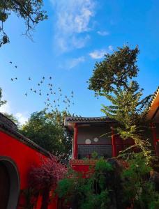 a flock of birds flying in the sky over a house at Rong Hotel - Beijing Nanluoguxiang Branch in Beijing