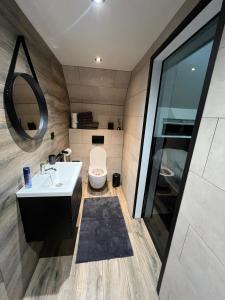 uma casa de banho com um WC, um lavatório e um espelho. em Het Eiland em Delfzijl