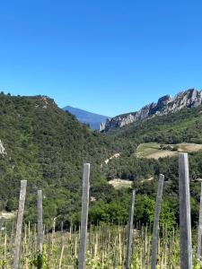 un viñedo en las montañas con postes de madera en Villa climatisée avec piscine CHAUFFÉE au cœur du massif d'Uchaux , calme absolu !, en Mondragon