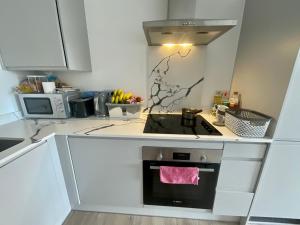 uma cozinha com uma placa de fogão e forno. em Spacious Relaxing Double Bedroom near Heart of City em Birmingham
