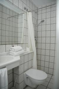 een badkamer met een toilet, een wastafel en een douche bij Weber Residenz in Mannheim