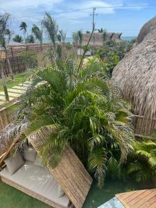 JERUSALEMA BEACH GLAMPING外面的花园