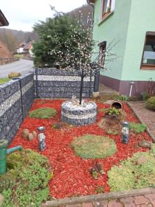 施托爾貝格哈爾茨的住宿－FeWo ,,An der kleinen Wilde''，花园,花园上有一棵树,上面有红花