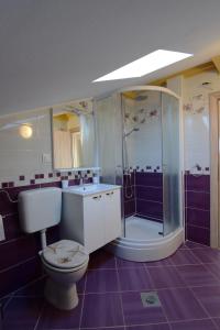 un bagno con wc e doccia di Apartmani Barba a Rogoznica (Rogosnizza)