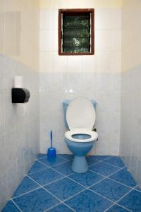 a bathroom with a toilet with a blue tile floor at Karura and friends airbnb (affordable) in Ukunda
