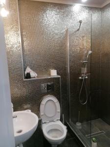 a bathroom with a shower and a toilet and a sink at Korallia Penthouse in Mamaia Nord