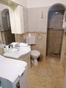 Apartments Villa Julia في تروغير: حمام مع حوض أبيض ومرحاض