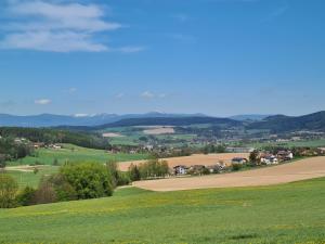 a field of green grass with hills in the background at Chalupa Jestřebí in Velké Svatoňovice