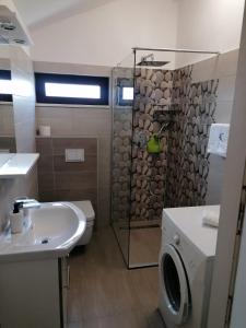 Apartments Villa Julia في تروغير: حمام مع دش ومرحاض ومغسلة
