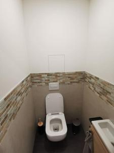 uma pequena casa de banho com WC e lavatório em Apartmán Bílá Voda em Cervena Voda