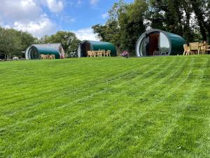 Kinelarty Luxury Glamping Pods Downpatrick外面的花园
