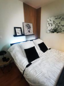 1 dormitorio con 1 cama blanca y 2 almohadas en L'atelier de Jane en Sennecey-lès-Dijon