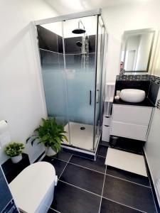 y baño con ducha, aseo y lavamanos. en L'atelier de Jane, en Sennecey-lès-Dijon