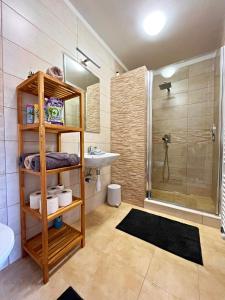 a bathroom with a shower and a sink at Apartmány Slavíkov - Country Suite in Horní Radechová