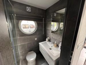a bathroom with a toilet and a sink and a mirror at Cozy Houseboat in Zwartsluis in Zwartsluis