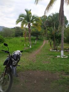 een motorfiets geparkeerd naast een onverharde weg met palmbomen bij Clandestino Hostal in Gigante
