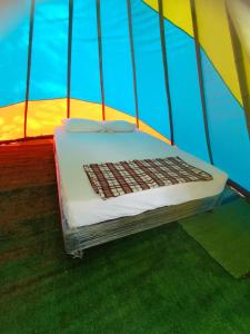 een bed in een tent in een kamer bij Clandestino Hostal in Gigante