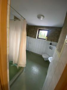 baño con ducha y aseo y ventana en Grojecka Ostoja, en Grojec