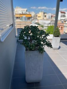 deux plantes en pot assises sur la corne d'un balcon dans l'établissement Piraeus Relax, au Pirée