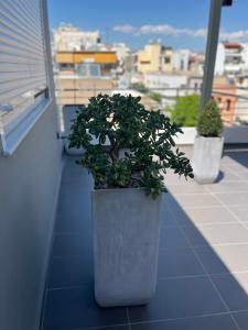 Balkón nebo terasa v ubytování Piraeus Relax