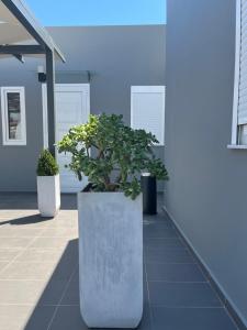 two potted plants sitting on the side of a building at Piraeus Relax in Piraeus